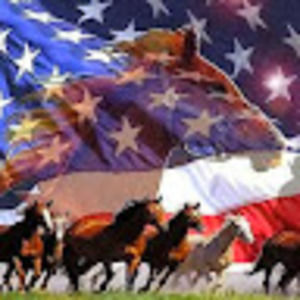 Meet your Posher, Gail